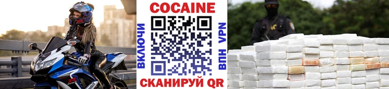где купить наркоту  Жиздра  COCAIN 99% 