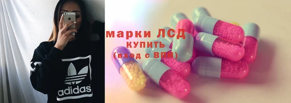 гидропоника Алзамай