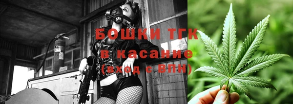 гидропоника Алзамай