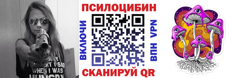 Псилоцибиновые грибы Cubensis  Жиздра 
